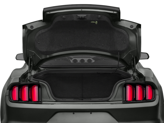 2016 Ford Mustang EcoBoost Coupe 2D