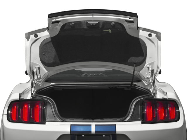 2016 Ford Mustang Shelby GT350 Coupe 2D