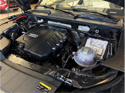2024 Audi Q5 45 TFSI S line Premium Plus Sport Utility 4D