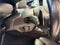 2020 BMW 5 Series M550i xDrive Sedan 4D
